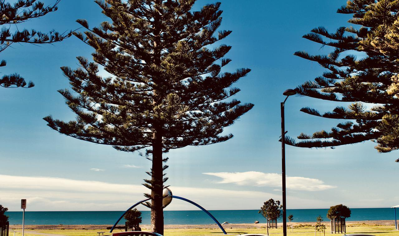 The Nautilus Ξενοδοχείο Napier Εξωτερικό φωτογραφία View of the beach from the foreshore