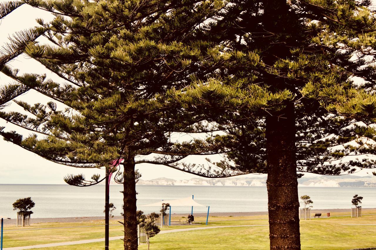 The Nautilus Ξενοδοχείο Napier Εξωτερικό φωτογραφία View of the bay from the foreshore